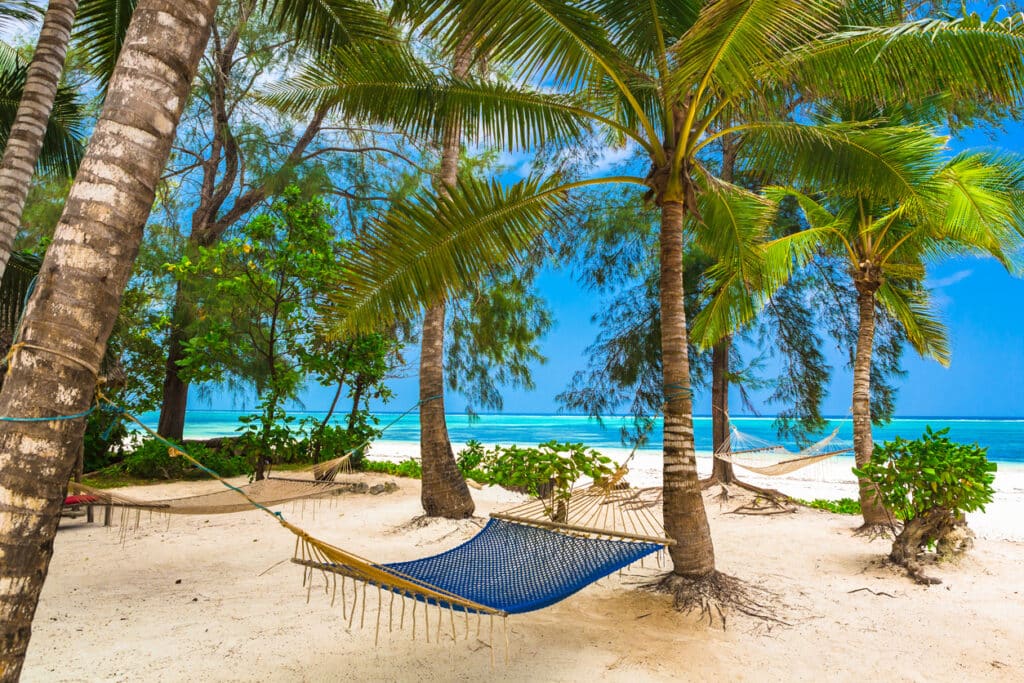 stay Zanzibar